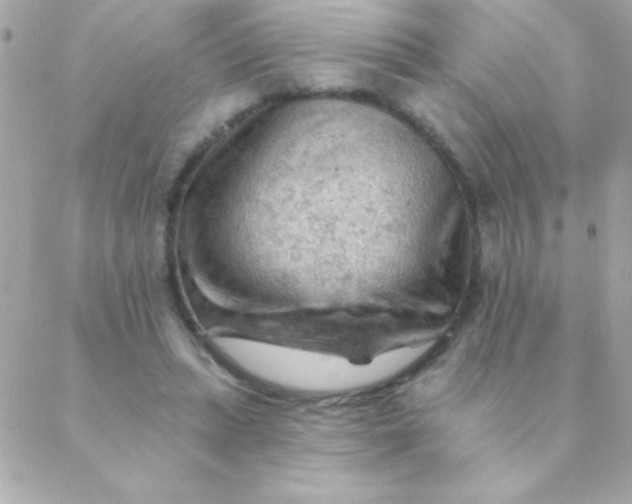 X0000088650447200706152011