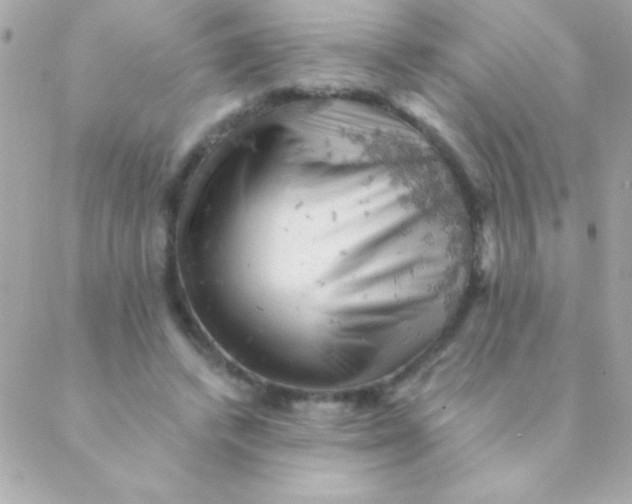 X0000088650448200706152011