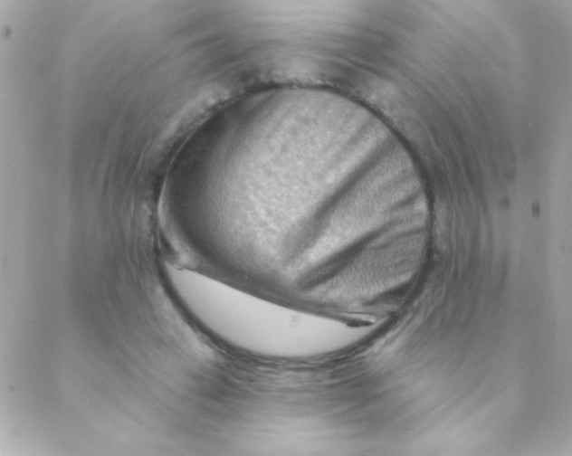 X0000088650449200706152011