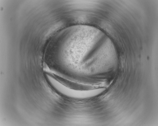 X0000088650450200706152011