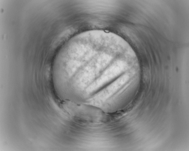 X0000088650451200706152011