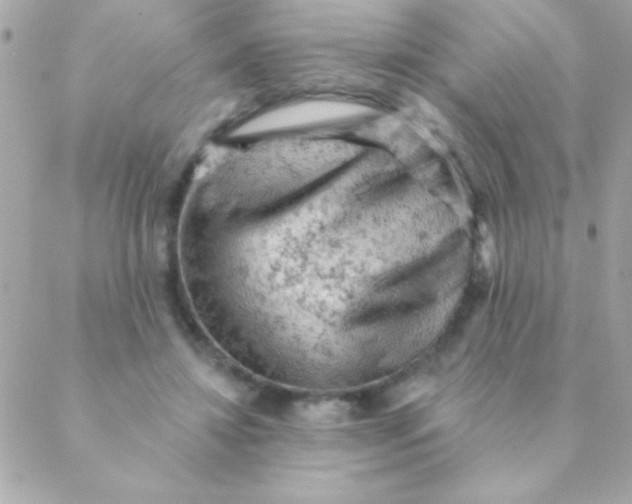 X0000088650452200706152011