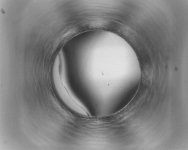 X0000088650454200706152012