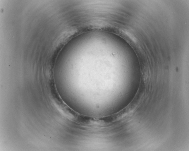 X0000088650455200706152012