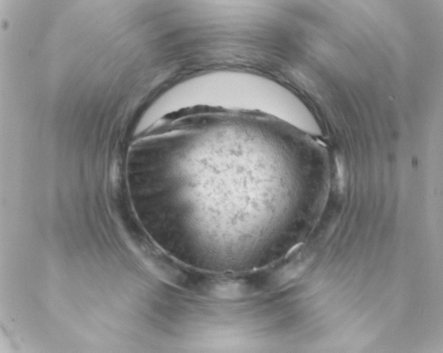 X0000088650456200706152012