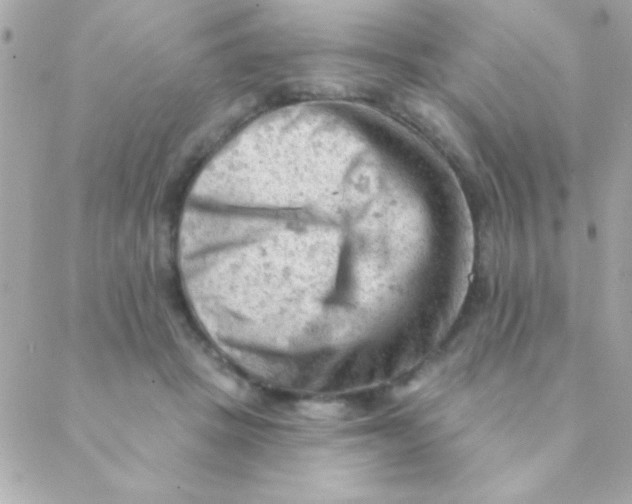 X0000088650457200706152012