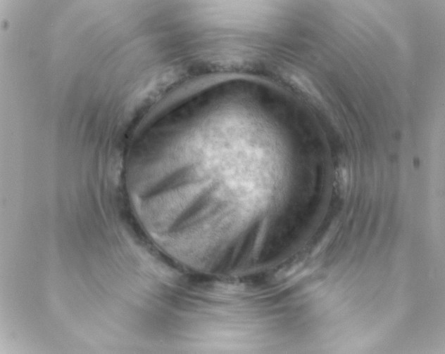 X0000088650458200706152012