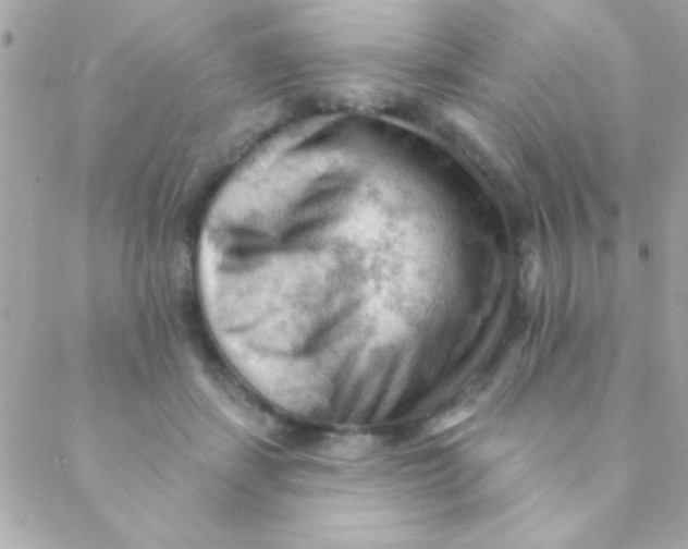 X0000088650459200706152012