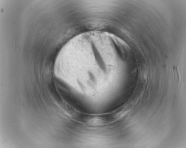 X0000088650460200706152012