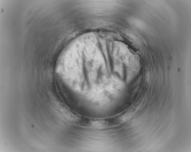 X0000088650461200706152012