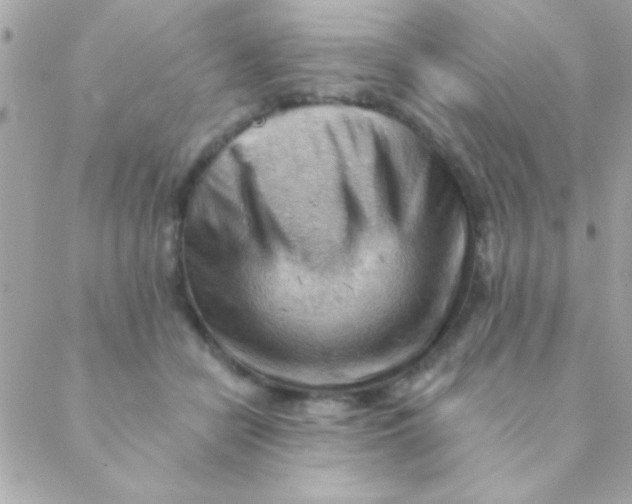 X0000088650462200706152012