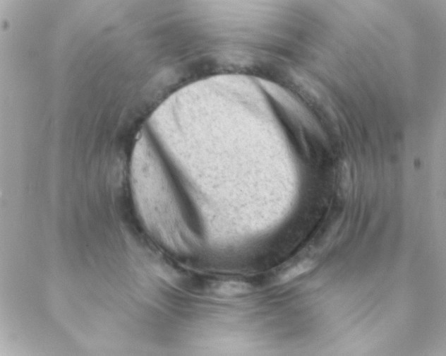 X0000088650463200706152012