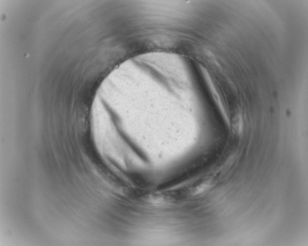 X0000088650464200706152012