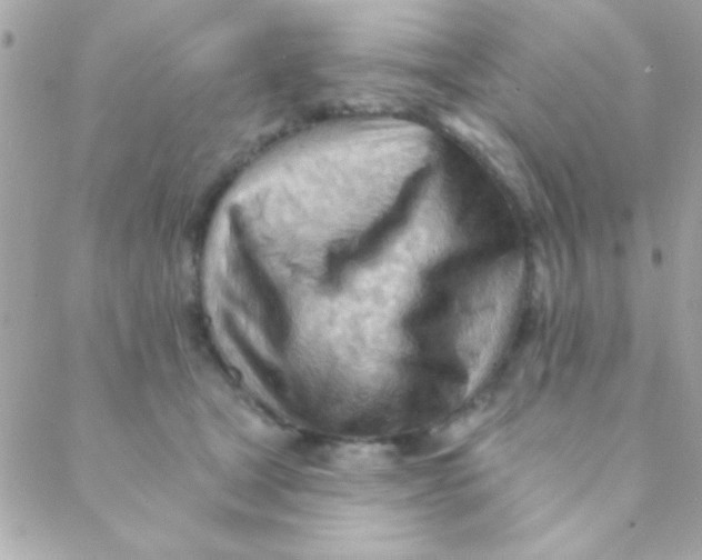 X0000088650465200706152012