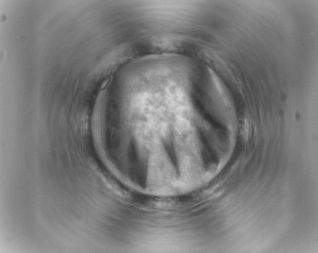 X0000088650466200706152012