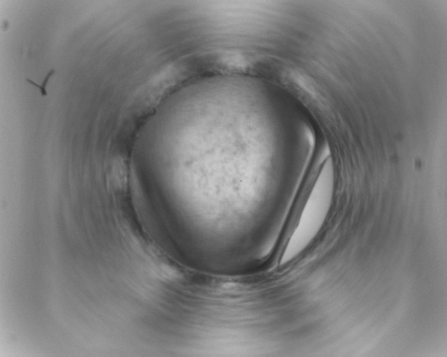 X0000088650467200706152012