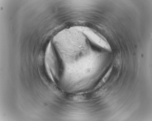 X0000088650468200706152012