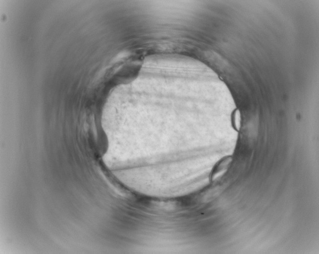 X0000088650469200706152012