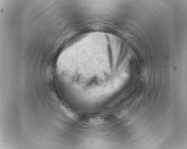 X0000088650470200706152012