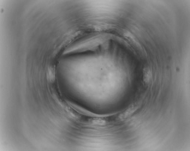 X0000088650471200706152012