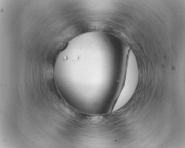 X0000088650474200706152012