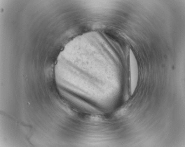 X0000088650475200706152012