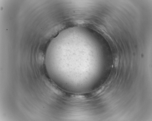 X0000088650476200706152012