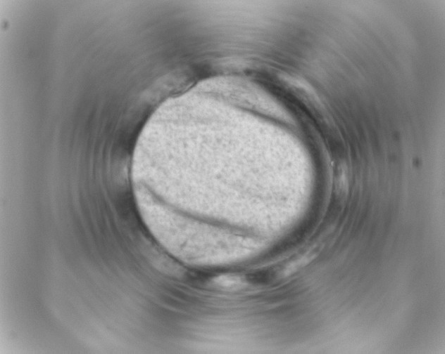 X0000088650477200706152012