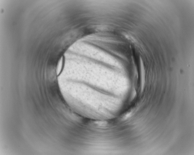 X0000088650478200706152012