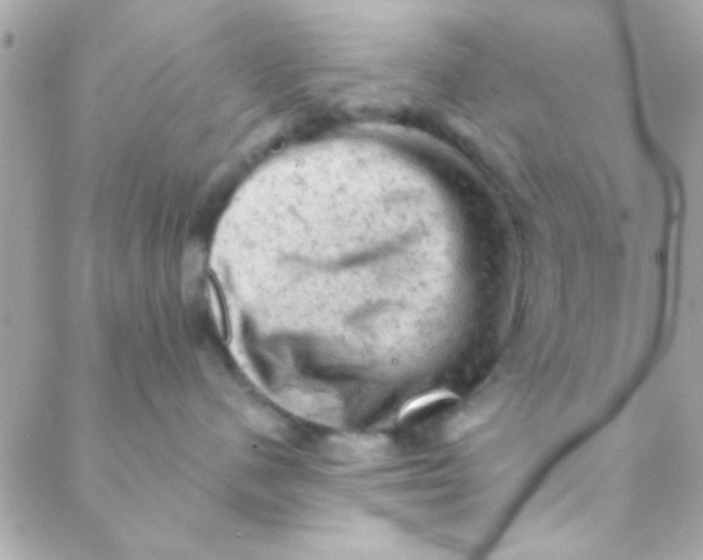 X0000088650480200706152012