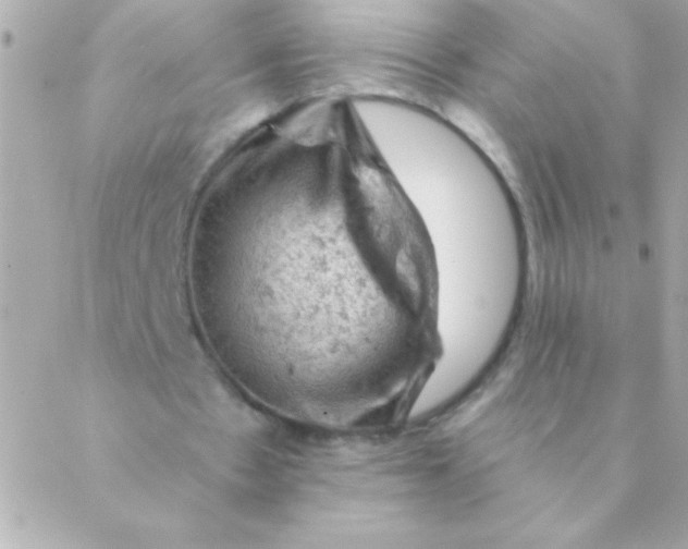 X0000088650481200706152011