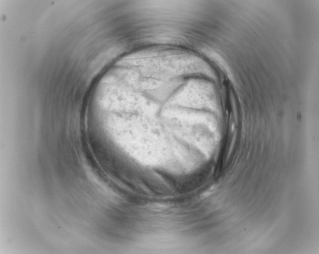 X0000088650482200706152011