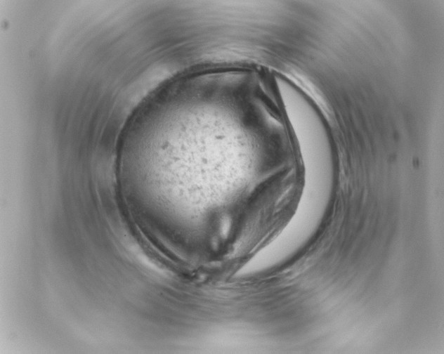 X0000088650485200706152011