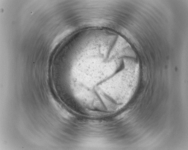 X0000088650486200706152011