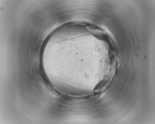 X0000088650488200706152011