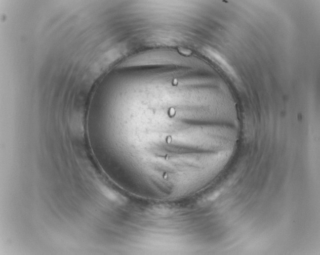 X0000088650489200706152011