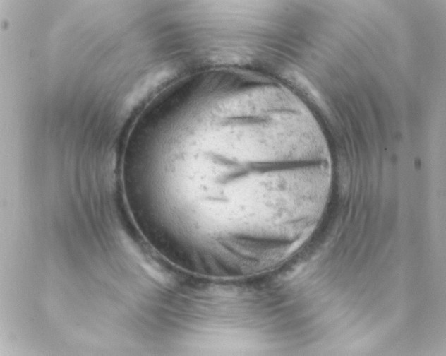 X0000088650490200706152011