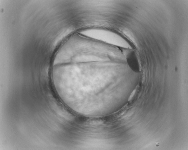 X0000088650491200706152011