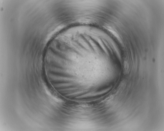 X0000088650492200706152011