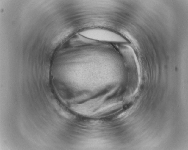 X0000088650493200706152011