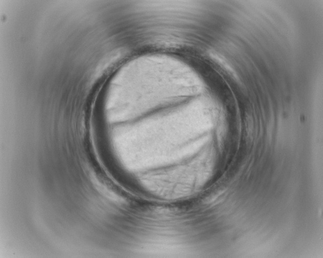 X0000088650494200706152011