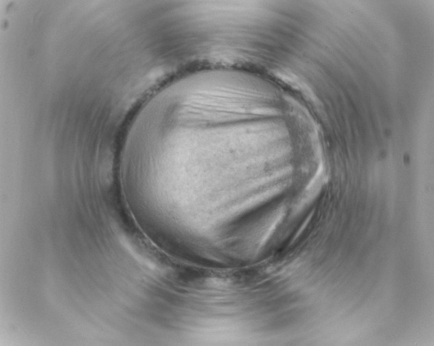 X0000088650496200706152011