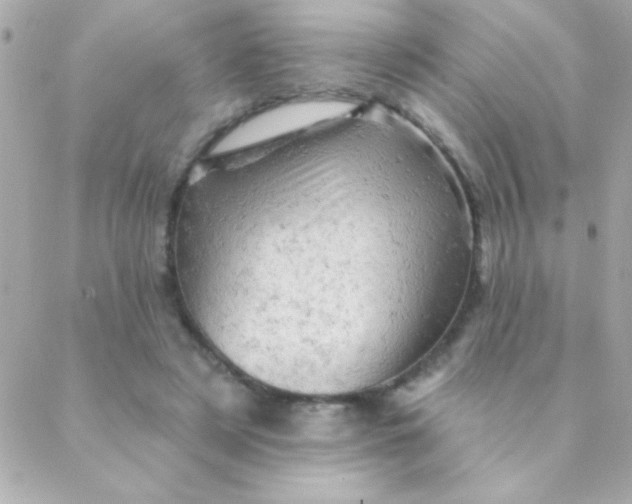 X0000088650497200706152011