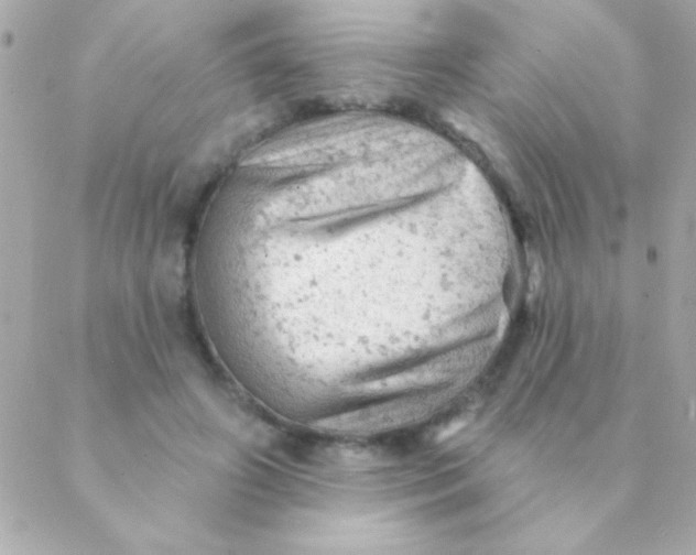 X0000088650498200706152011