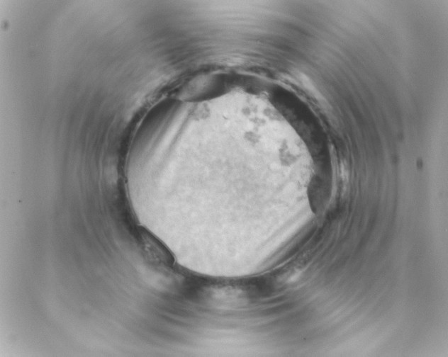 X0000088650500200706152011