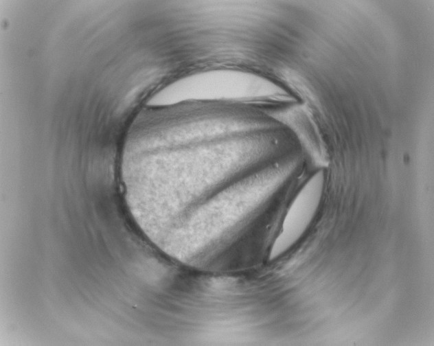 X0000088650501200706152011