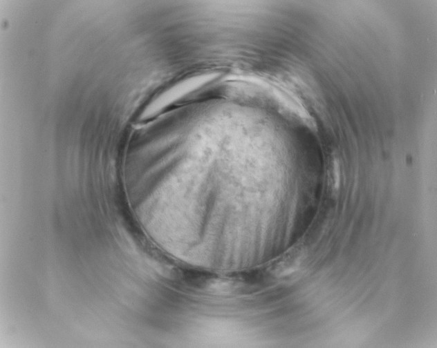 X0000088650504200706152011