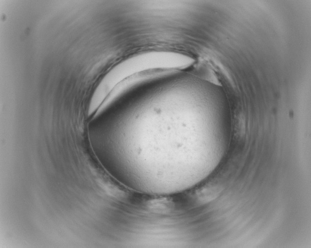 X0000088650505200706152011