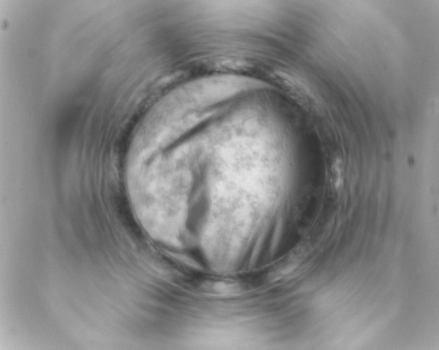 X0000088650506200706152011