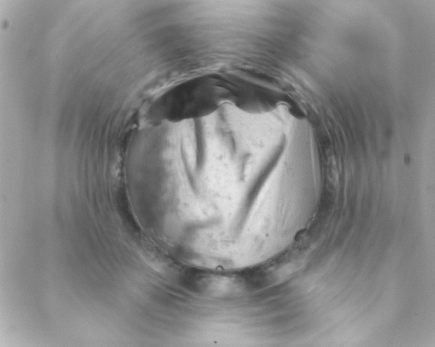 X0000088650507200706152011